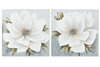 Coppia Quadi primo piano fiore bianco sfondo grigio 60x60