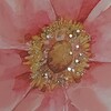 Particolare di Quadro grande 120x60 fiori azzurri e rosa  43447