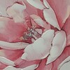 Quadro orizzontale verticale con fiori rosa e bianchi con foglie verdi 120x60cm  43443 Foto 4