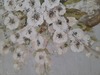 Particolare di Quadro grande 100x100 bicicletta con cesto di fiori bianchi