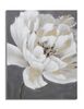 Quadro 80x100 grande fiore bianco con sfondo grigio  40277