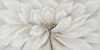 Quadro tortora petali rilievo con fiore bianco 120x60 e dettagli materici 41349 COLORI E LUCI