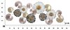 Quadro meraviglia di fiori e foglie rose gold rame decoro parete 133,5x54,5  40792 - foto 5