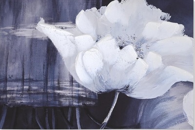 Quadro con sfondo nero tendente al blu e fiore bianco 90x60cm 40370 COLORI E LUCI