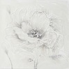 Quadro dipinto su tela 80x80 fiori bianco/argento A 41346 COLORI E LUCI