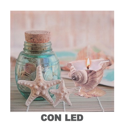 Quadro stampa atmosfera marina con led conchiglie e stella marina 40x40 43551 COLORI E LUCI