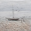 Quadro spiaggia e barca a vela 30x30 con gabbiani  41377