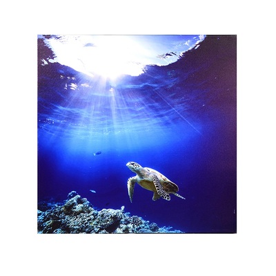 Quadro stampa mare profondo blu e tartaruga 60x60  43515