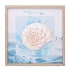 Particolare di Set di 2 quadretti con cornice e disegno conchiglie 40x40cm  39167