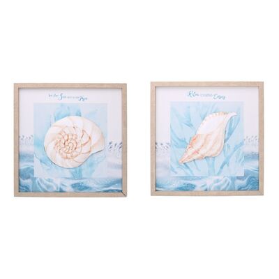 Set di 2 quadretti con cornice e disegno conchiglie 40x40cm  39167