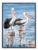 Quadro mare azzurro e pellicani 53x73  42584