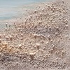 Particolare di Quadro materico scorcio di mare vela rossa e faro 120x60  42361