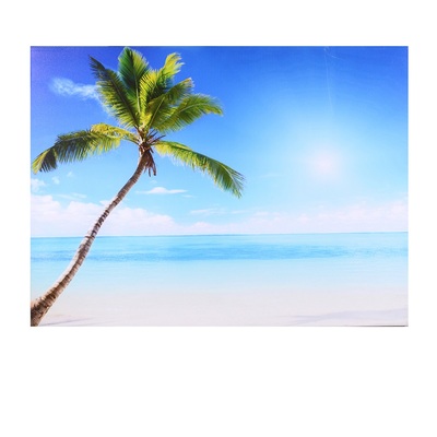 Quadro stampa spiaggia con palma e mare 80x70 bluetooth 43519 COLORI E LUCI