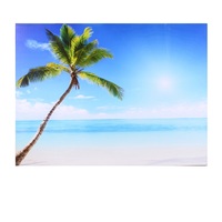 Quadro stampa spiaggia con palma e mare 80x70 bluetooth 43519 COLORI E LUCI