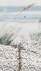 Immagine aggiuntiva di Quadro dipinto su tela spiaggia con cespugli e mare 90x30  42367