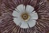 Immagine aggiuntiva di Quadro con decorazione in metallo fiore rame 73,5x72  40659