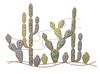 Quadro in ferro cactus sulle dune decorazione da parete 90x64cm  40299