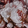 Immagine aggiuntiva di Quadro lungo moderno nero con fiori bianchi 120x60  43532
