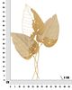 Quadro in metallo foglie strappate oro 53x84,5  41195 - foto 5