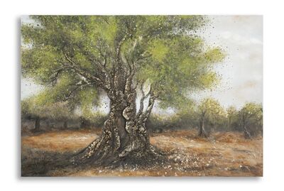 Quadro ulivo campagna pennellate di storia corteccia rugosa e chioma rigogliosa 120x80  43393
