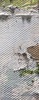 Immagine aggiuntiva di Quadro dipinto su tela lago in montagna con riva di pini 120x60  42000