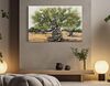 Quadro paesaggio natura senza tempo ulivo eterno 120x80  43391 - foto 4