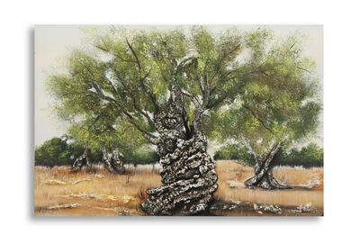 Quadro paesaggio natura senza tempo ulivo eterno 120x80  43391