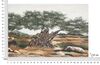 Quadro lungo orizzontale ulivo magia mediterranea rurale 120x80  43392 - foto 5