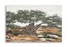 Quadro lungo orizzontale ulivo magia mediterranea rurale 120x80  43392