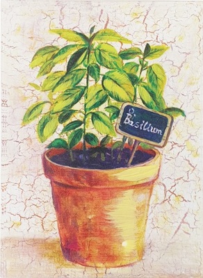 Quadretto 12,5x18cm con vaso di erbe aromatiche basilico 39849 COLORI E LUCI