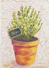 Quadretto con erbe aromatiche Timo 12,5x18 39850 COLORI E LUCI