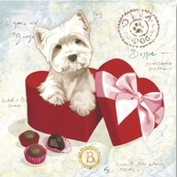 Quadretto 30x30 cagnolino scatola rossa 33688 COLORI E LUCI