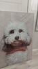 Particolare Quadro con cagnolino bianco con papillon 70x100