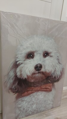 Quadro cagnolino tenero musetto dolce sguardo cucciolo bianco con papillon 70x100 COLORI E LUCI