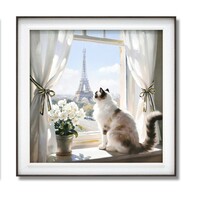 Quadro micio alla finestra con vista su Parigi 62x62 con cornice  45727