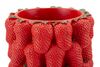 Particolare di Vaso rosso arredo fragole golose 20x32  42865