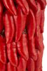 Vaso rosso piccante motivo peperoncini 20x34  42867 - foto 5