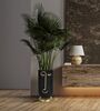 Vaso tribale nero con dettagli oro diametro 21x45  41540 - foto 4